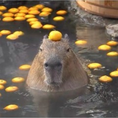 🌴joo junkkaa jee🌴