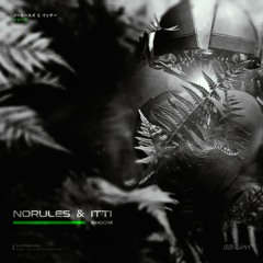 NoRules & Itti — Shoom