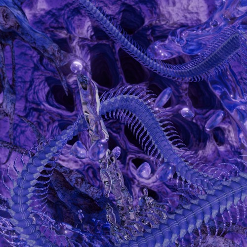 CsomCsom-Nightreign