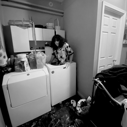 Stream Throw A Brick In Your Washing Machine by Lemon Flavor Listen online for free on SoundCloud