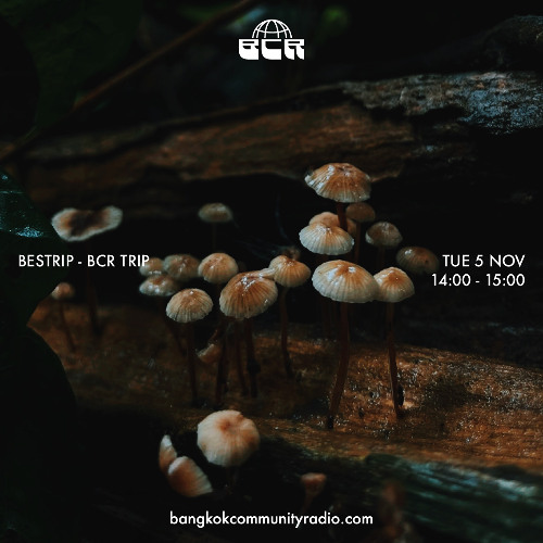 Bestrip - BCR Trip - 5th November 2024