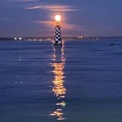 Coastline Bliss