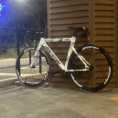 MAGNOLIA  1.1배속