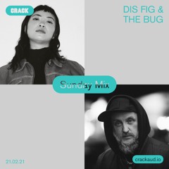 Sunday Mix: Dis Fig & The Bug