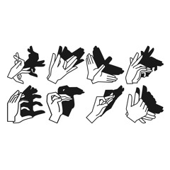 Shadow Puppets