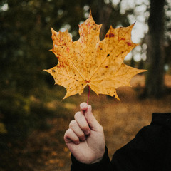 Herbst in Weinheim