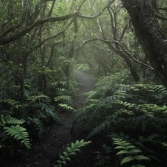 Fern Forest Deep Techno
