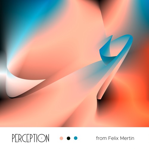 Perception from Felix Mertin
