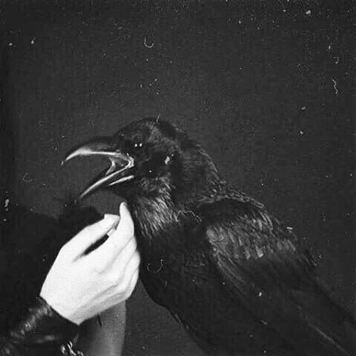 Stream Haunted House Kmart soundtrack by User 892295559 Listen online