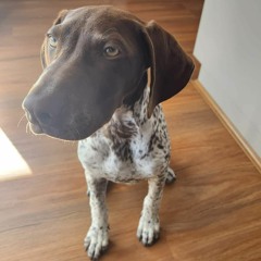 Koincide_February 2024 Mix