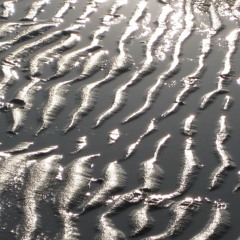 AI Snooze EP03 - Music from plants C_2nd_04