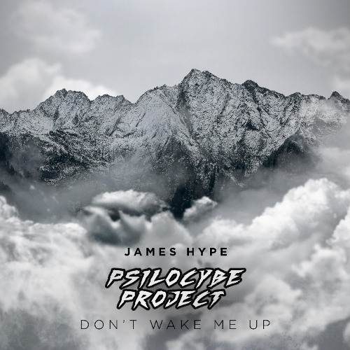 James Hype - Don't Wake Me Up (Psilocybe Project Remix)