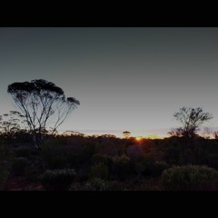 2023.02.19 Quiet Dawn of Souls (Mallee Country, Late Summer)