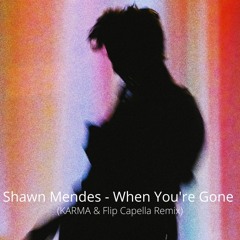 Shawn Mendes - When You're Gone (KARMA & Flip Capella Remix)