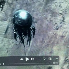 VISITORS (Out Now)