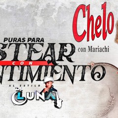 Chelo Mix Puras Para Pistear Con Sentimiento DJ LUNA