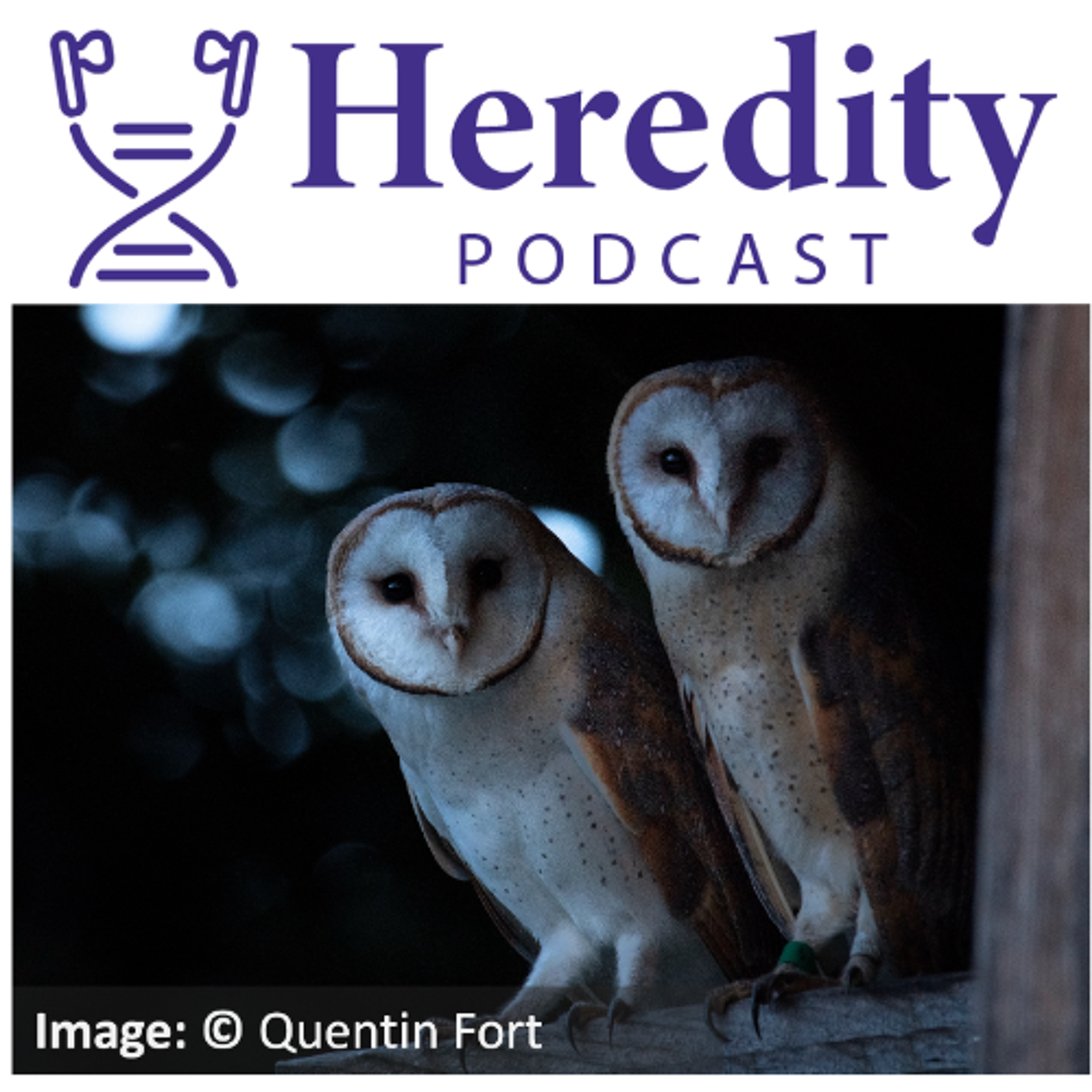 Student Paper Prize 2025 - Inbreeding in European Barn Owls episode artwork