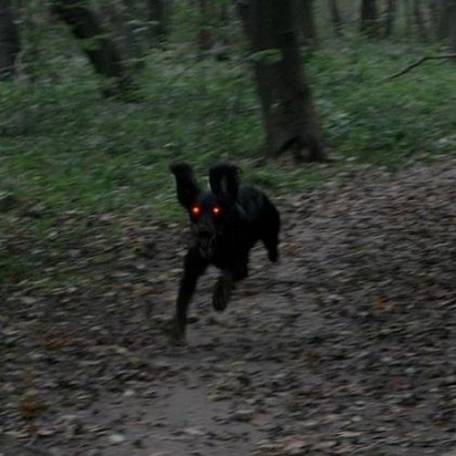 sleepisformortals - Woebegone (prod. AURA)