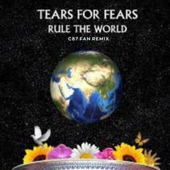 Tears For Fears - Everybody Wants To Rule The World (C87 Fan Remix)