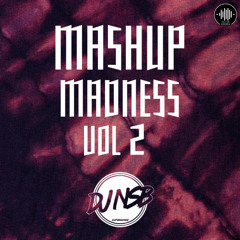 MASHUP MADNESS VOL 2 - [DJ NSB]