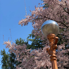 헌신은 주님을 위해_대구교회 대학생들 250329