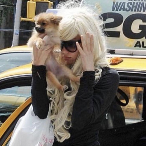 Dani Kiyoko - YSL BBY ( ꩜ ᯅ ꩜;)⁭ ⁭‧₊˚♪ 𝄞₊˚⊹