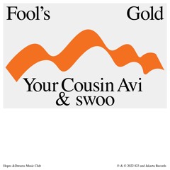 Your Cousin Avi - Fool's Gold (feat. swoo)