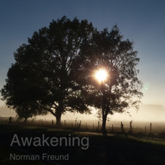 Awakening