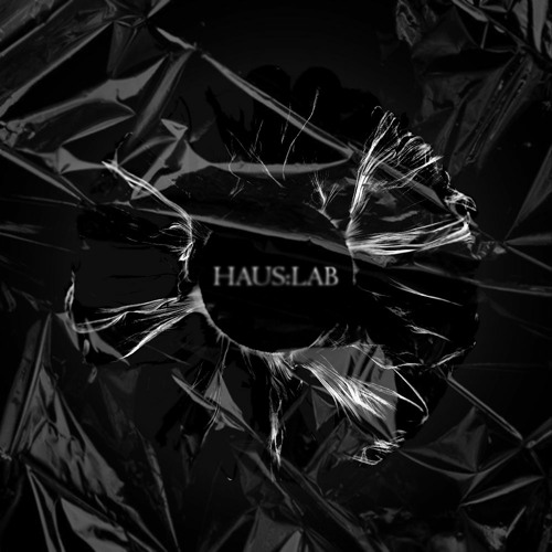HAUSLAP VOL.2