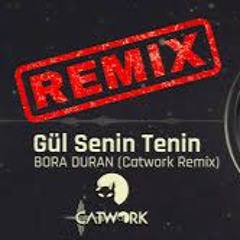 Gül Senin Tenin (Catwork Remix)