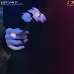 Ngắm hoa lệ rơi_Châu Khải Phong x VUX Music_Ver lofi