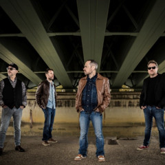 Monkey Division "Sunshine-Everyday"