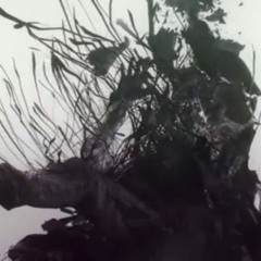 dollm -Последний Вздох Последний Выдох