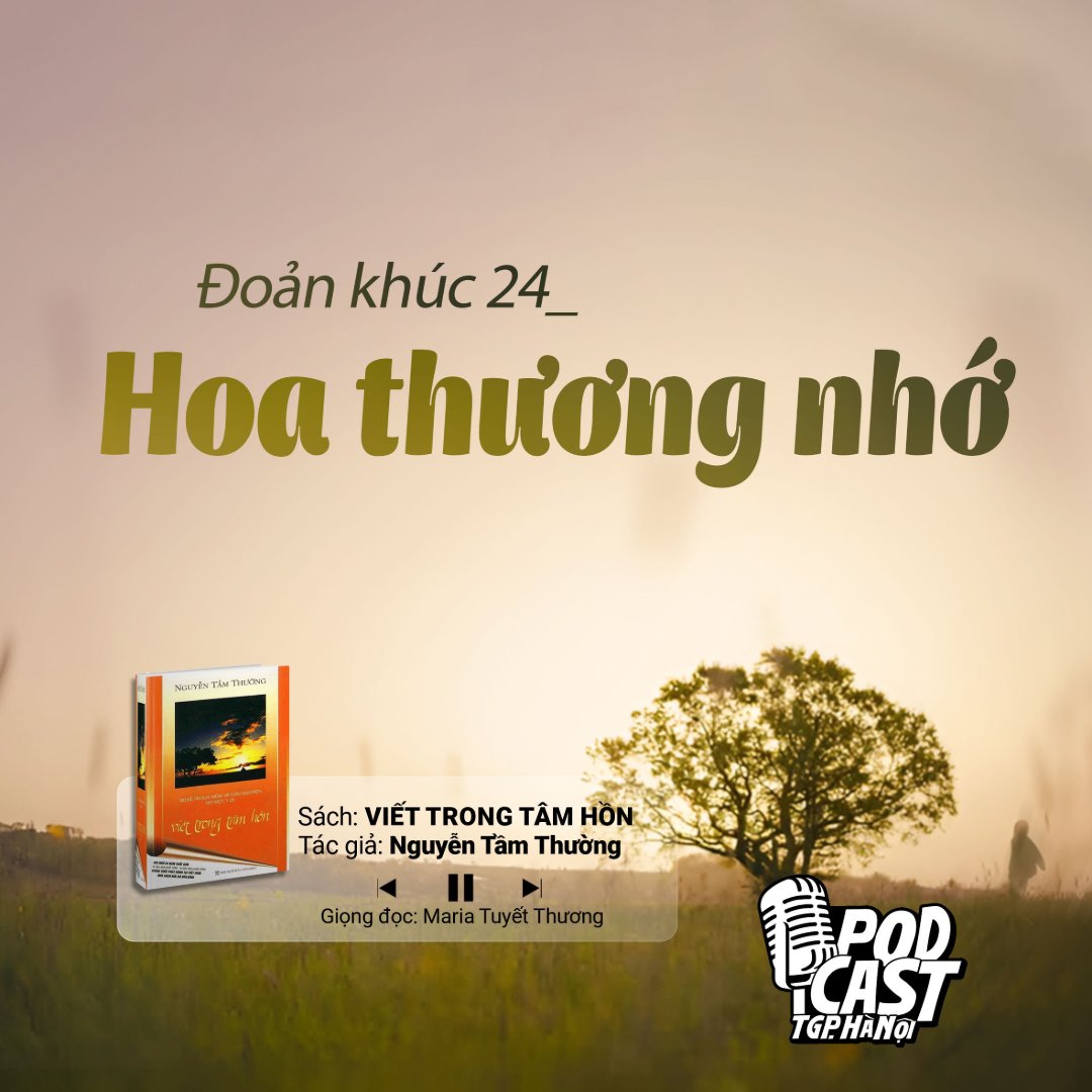 ĐK24: Hoa thương nhớ (Tg. Nguyễn Tầm Thường) || Viết trong tâm hồn episode artwork