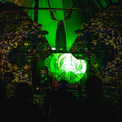 IntroVortex @Organic 2022