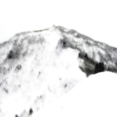 白い雪が溶けています。