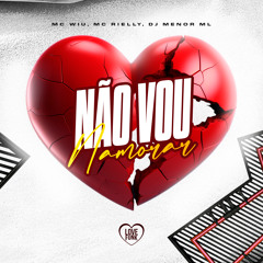 Não Vou Namorar (feat. Love Funk)