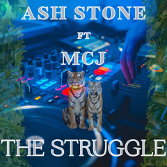 Ash Stone Ft. MCJ - The Struggle