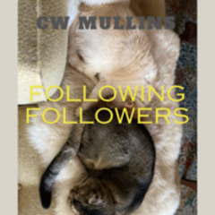 Following Followers