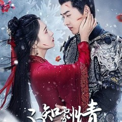 不知剧情也无妨 (S1E11) Season 1 Episode 11  -138754