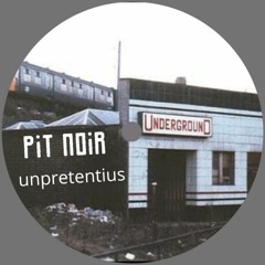 Pit Noir - Unpretentious
