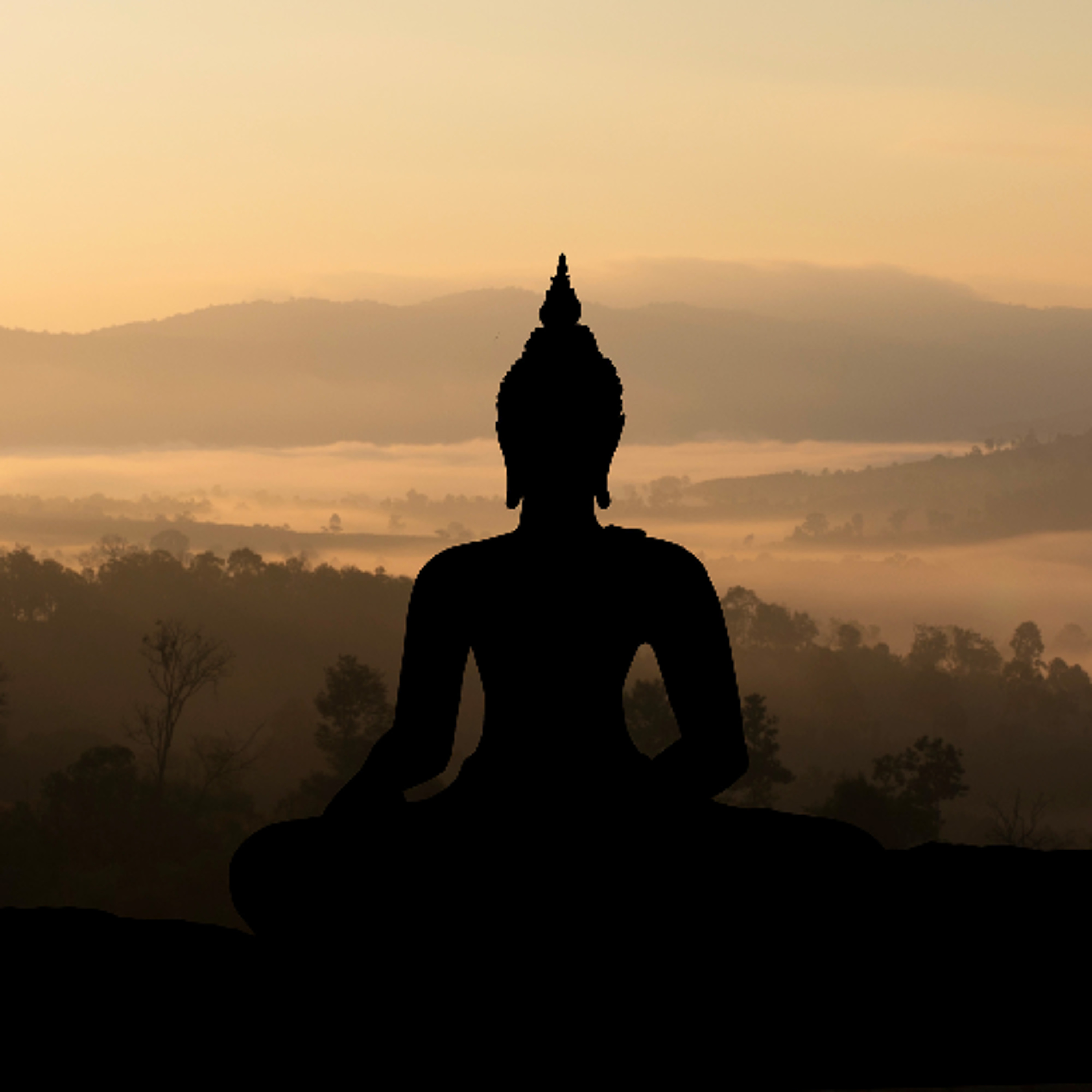 Associazione Kalyanamitta: Meditazione, Mindfulness, Buddhismo
