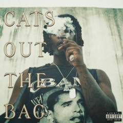 ZUKENEE - CATS OUT THE BAG (PROD. CARSON HACKNEY)
