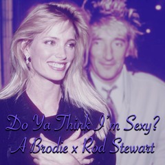 Do Ya Think I'm Sexy? (A Brodie Remix)