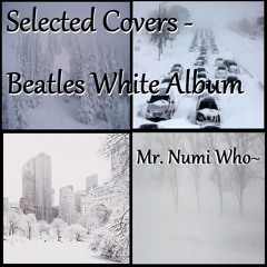 Ob-La-Di Ob-La-Da - Sing 02 - Numi Who Cover Songs