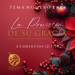 Tema | La Provisión De Su Gracia