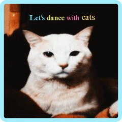 Let's dance with cats
