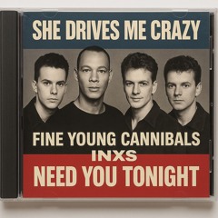 Fine Young Cannibals vs. Inxs - She drives me crazy tonight [LSDJ Remix]