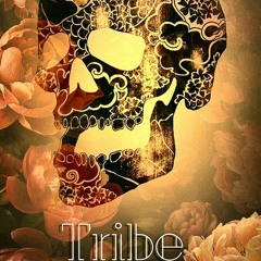Tribe