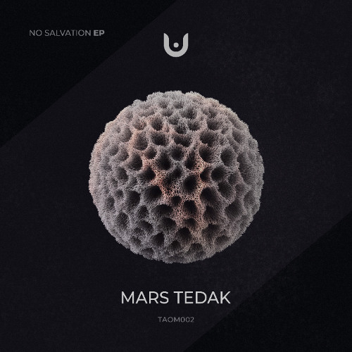 Mars Tedak - This Is the Beginning (Original Mix)